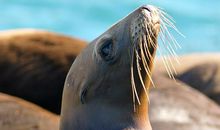 每一双手都是独特的