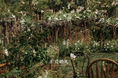 我真的很想为你造一片森林