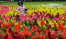 品味花香，真有趣