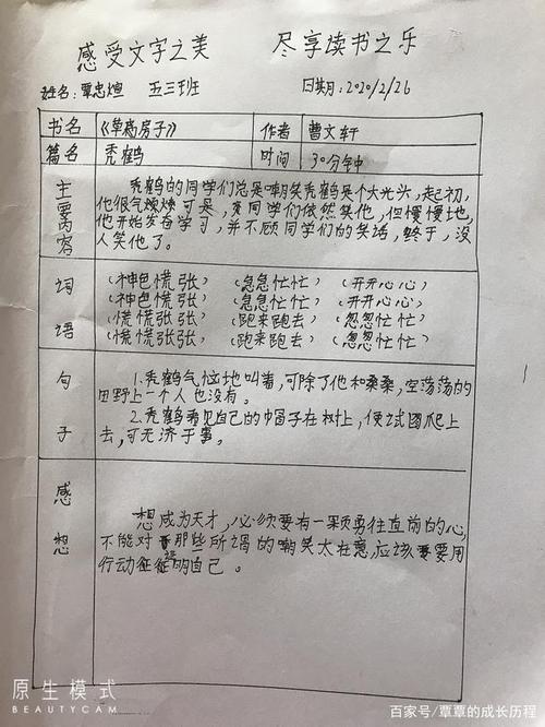 以我的心为荣