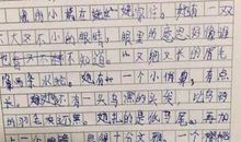 关于阿姨的作文