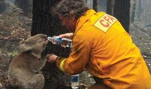 令人感动的瞬间