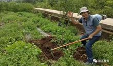 学习雷锋绿色环保