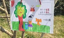 妈妈，我想送给你一片绿荫