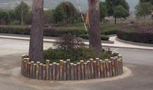 这个地方真有意思