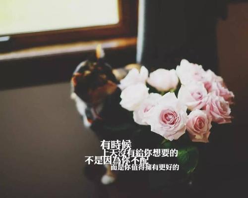 珍惜你拥有的