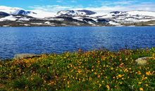 不要说春天离我太远