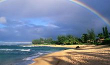 不经风雨怎见彩虹