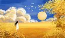 我想要一片自由的天空