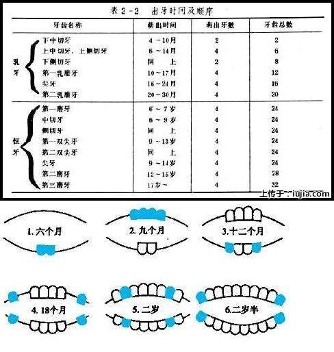 悦生的重生是一个美丽的痛苦