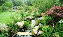 外婆家的农家小院