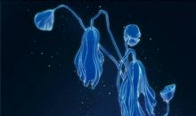 我们班的“淑男”