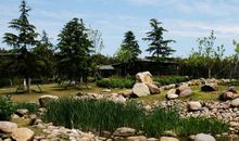 苏州植物园游记