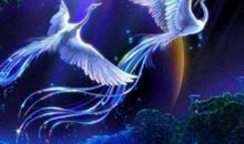 我的“守护神”