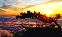 快乐的幕阜山之旅