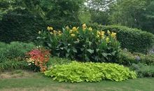 我的班级是个植物园