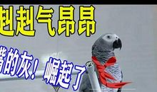 调皮大王历险记