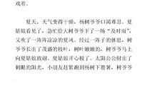 美丽的四季作文400字