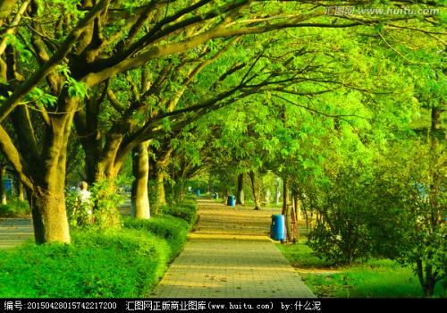 院子里路