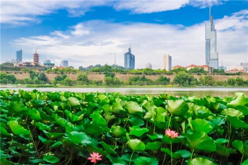 描述玄武湖的成分