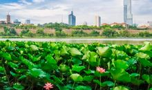 描写玄武湖的作文