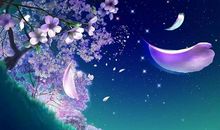 心中的太阳是那勇于坚持的信念