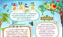 保护环境爱护小鸟