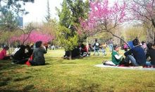 春游沿江风光带