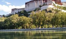 那一双坚定的眼睛