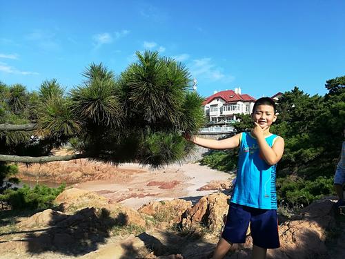 我的青岛之旅