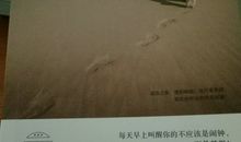 给老陈的一封信