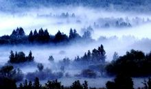 美丽的小兴安岭