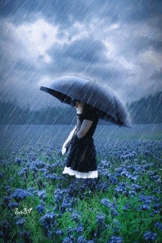 凉雨