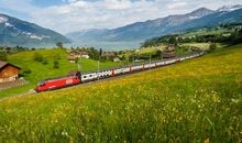 这里有最美的风景