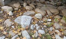 假如所有小河都干涸了