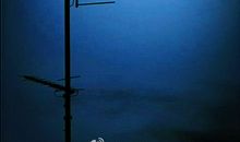 原来，所有的生命都有意义