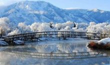 一年四季的家乡