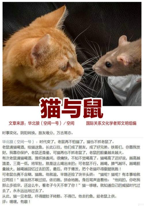 看完之后