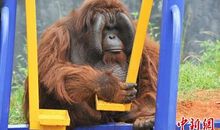 动物园里的喜怒哀乐