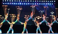 难忘的杂技表演