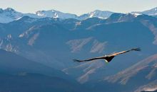 心里有首快乐的歌