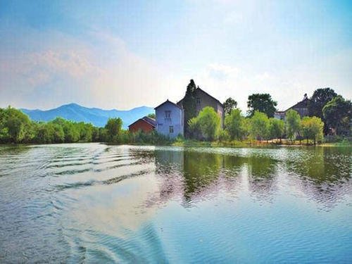 美丽的图画和阴影湿地