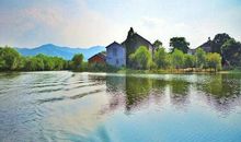 美丽的图影湿地