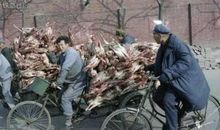 那一刻记忆洒了一地