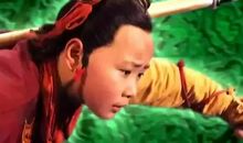 我不该这样鲁莽