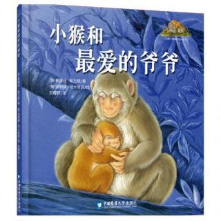 我心爱的小猴子