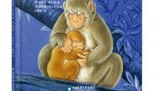 我心爱的小猴子