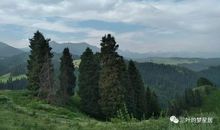 生活需要慢慢品味