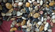 我喜欢的鹅卵石