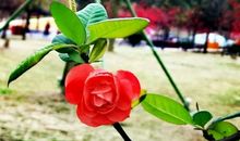 民族之间的温暖